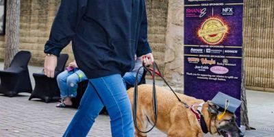 Fash-Dog26-112