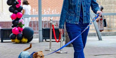 Fash-Dog26-113