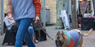 Fash-Dog26-123