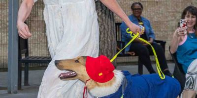 Fash-Dog26-127