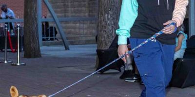 Fash-Dog26-134