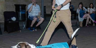 Fash-Dog26-135