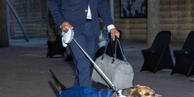 Fash-Dog26-136