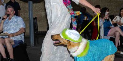 Fash-Dog26-137
