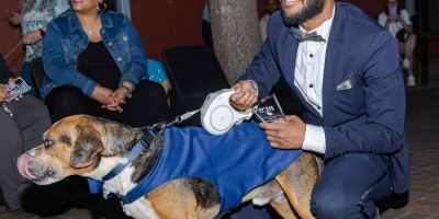 Fash-Dog26-141
